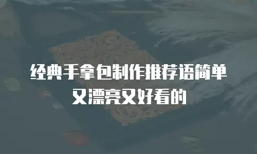 经典手拿包制作推荐语简单又漂亮又好看的