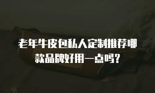 老年牛皮包私人定制推荐哪款品牌好用一点吗？