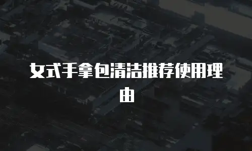 女式手拿包清洁推荐使用理由