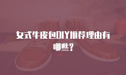 女式牛皮包DIY推荐理由有哪些?