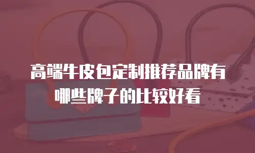 高端牛皮包定制推荐品牌有哪些牌子的比较好看
