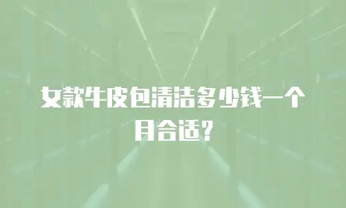 女款牛皮包清洁多少钱一个月合适？