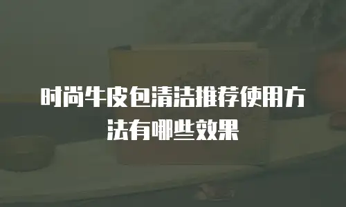 时尚牛皮包清洁推荐使用方法有哪些效果