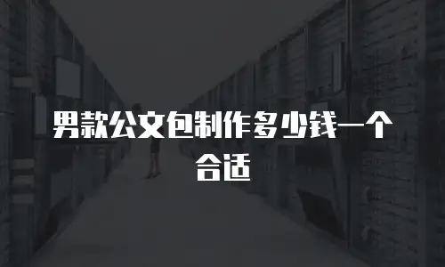 男款公文包制作多少钱一个合适