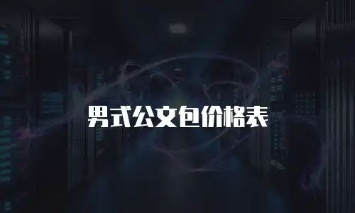 男式公文包价格表