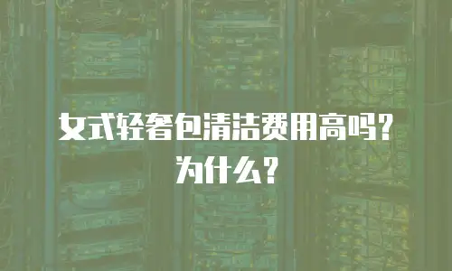 女式轻奢包清洁费用高吗？为什么？