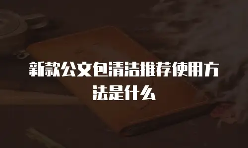 新款公文包清洁推荐使用方法是什么
