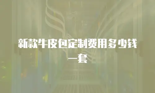新款牛皮包定制费用多少钱一套