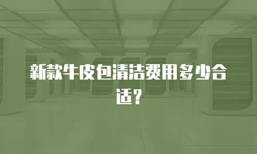 新款牛皮包清洁费用多少合适？