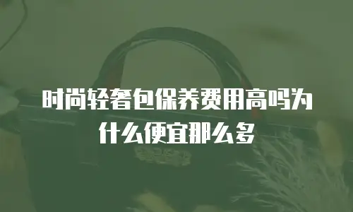 时尚轻奢包保养费用高吗为什么便宜那么多