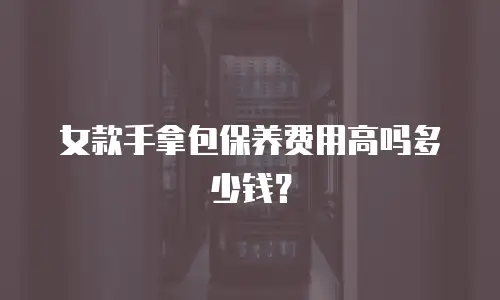 女款手拿包保养费用高吗多少钱？