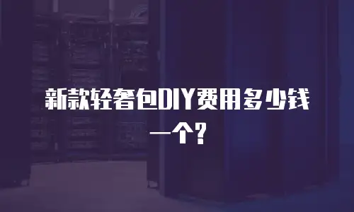 新款轻奢包DIY费用多少钱一个?