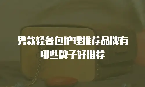 男款轻奢包护理推荐品牌有哪些牌子好推荐