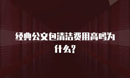 经典公文包清洁费用高吗为什么?