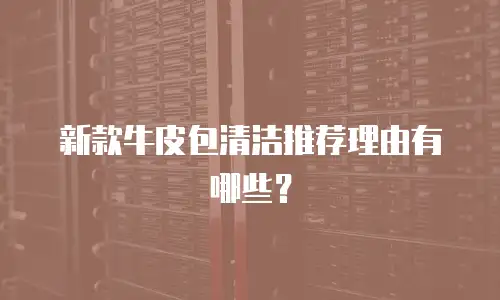 新款牛皮包清洁推荐理由有哪些？