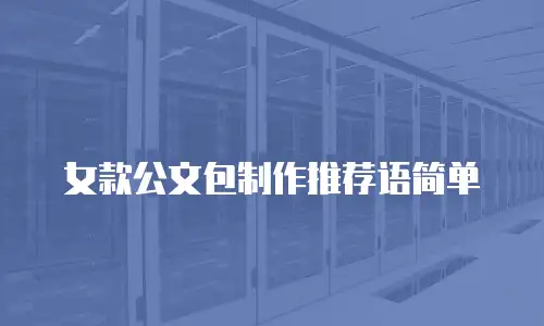 女款公文包制作推荐语简单