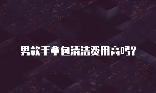 男款手拿包清洁费用高吗？