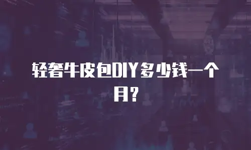 轻奢牛皮包DIY多少钱一个月？
