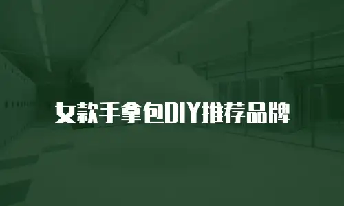 女款手拿包DIY推荐品牌