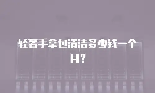 轻奢手拿包清洁多少钱一个月？