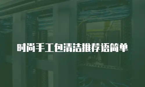 时尚手工包清洁推荐语简单