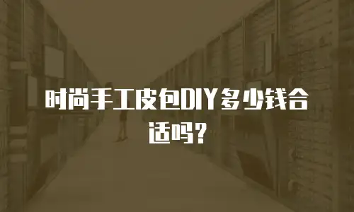 时尚手工皮包DIY多少钱合适吗？