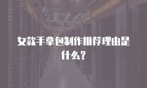 女款手拿包制作推荐理由是什么？