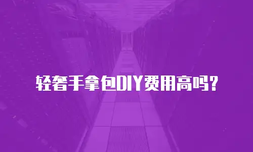 轻奢手拿包DIY费用高吗？