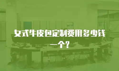 女式牛皮包定制费用多少钱一个？