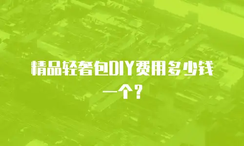 精品轻奢包DIY费用多少钱一个？