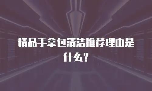 精品手拿包清洁推荐理由是什么？
