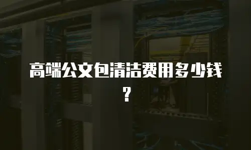 高端公文包清洁费用多少钱？