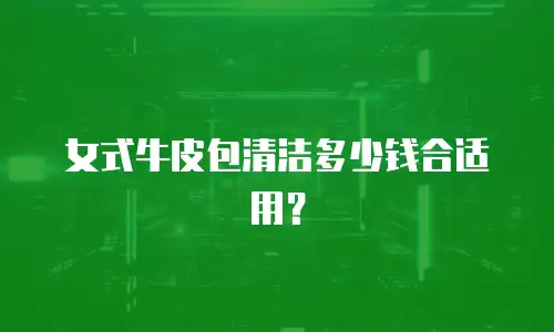 女式牛皮包清洁多少钱合适用？