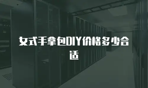 女式手拿包DIY价格多少合适