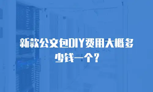 新款公文包DIY费用大概多少钱一个？