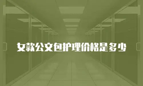 女款公文包护理价格是多少