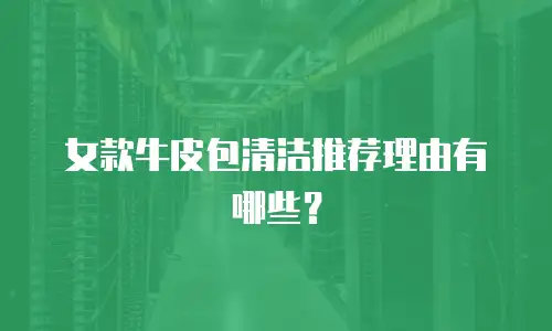 女款牛皮包清洁推荐理由有哪些？