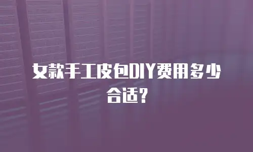 女款手工皮包DIY费用多少合适？