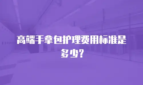 高端手拿包护理费用标准是多少？