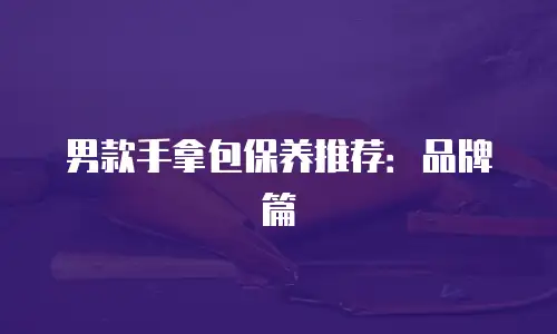 男款手拿包保养推荐：品牌篇