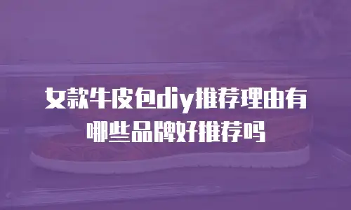 女款牛皮包diy推荐理由有哪些品牌好推荐吗