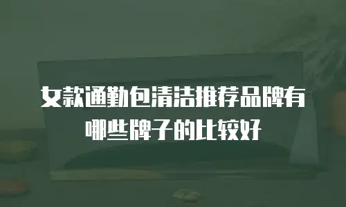 女款通勤包清洁推荐品牌有哪些牌子的比较好
