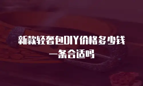 新款轻奢包DIY价格多少钱一条合适吗