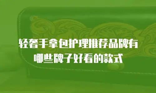 轻奢手拿包护理推荐品牌有哪些牌子好看的款式