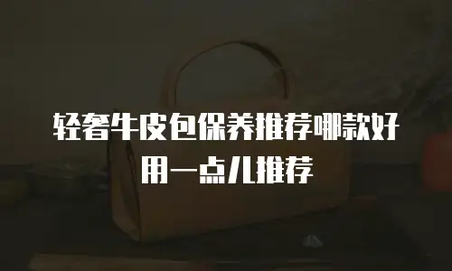 轻奢牛皮包保养推荐哪款好用一点儿推荐