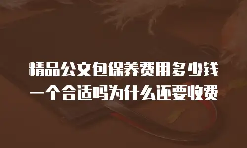 精品公文包保养费用多少钱一个合适吗为什么还要收费