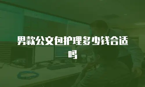 男款公文包护理多少钱合适吗