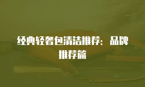 经典轻奢包清洁推荐：品牌推荐篇