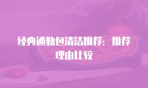 经典通勤包清洁推荐：推荐理由比较