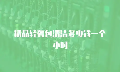 精品轻奢包清洁多少钱一个小时